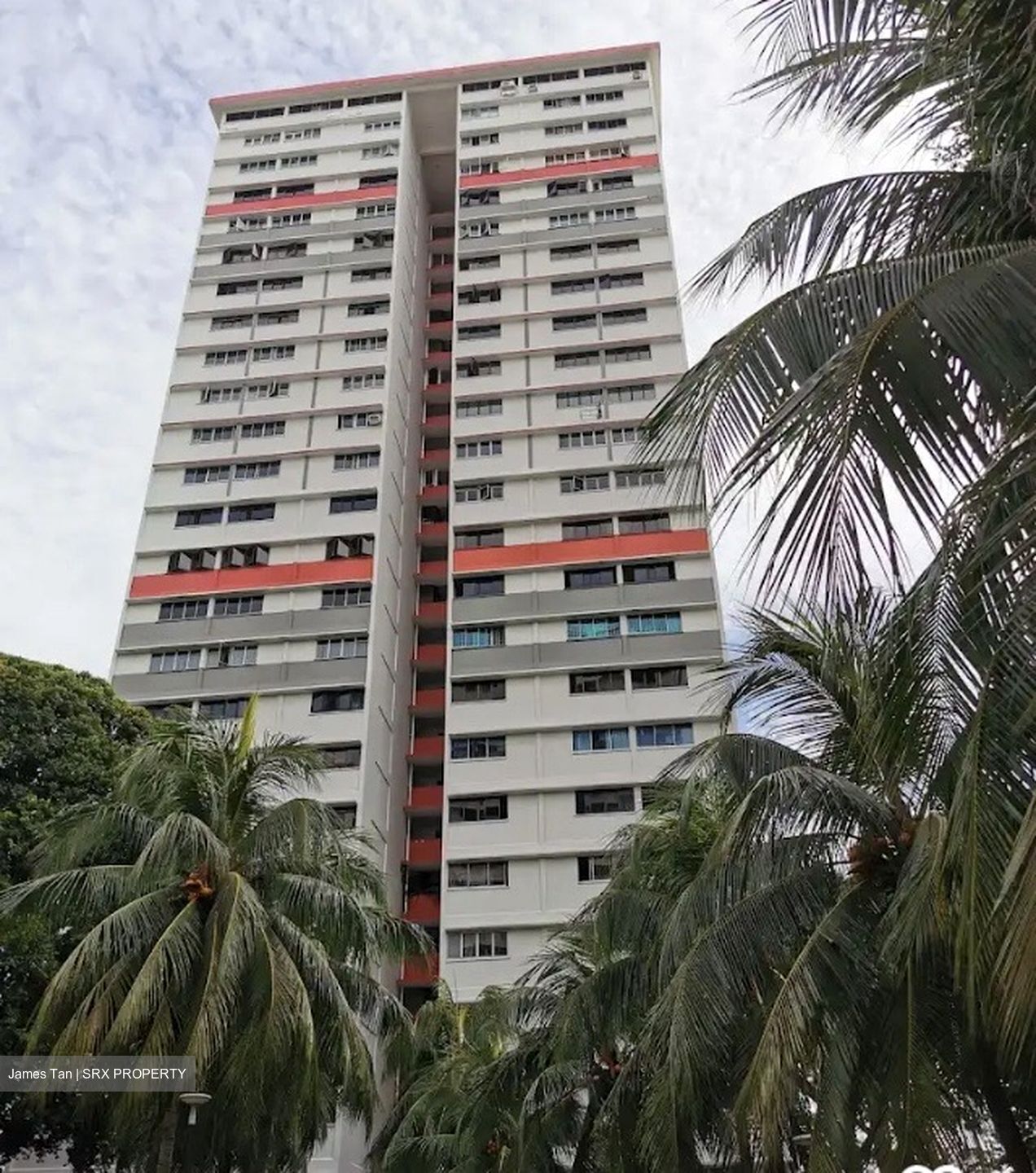 Blk 94 Havelock Heights (Bukit Merah), HDB 5 Rooms #486013541